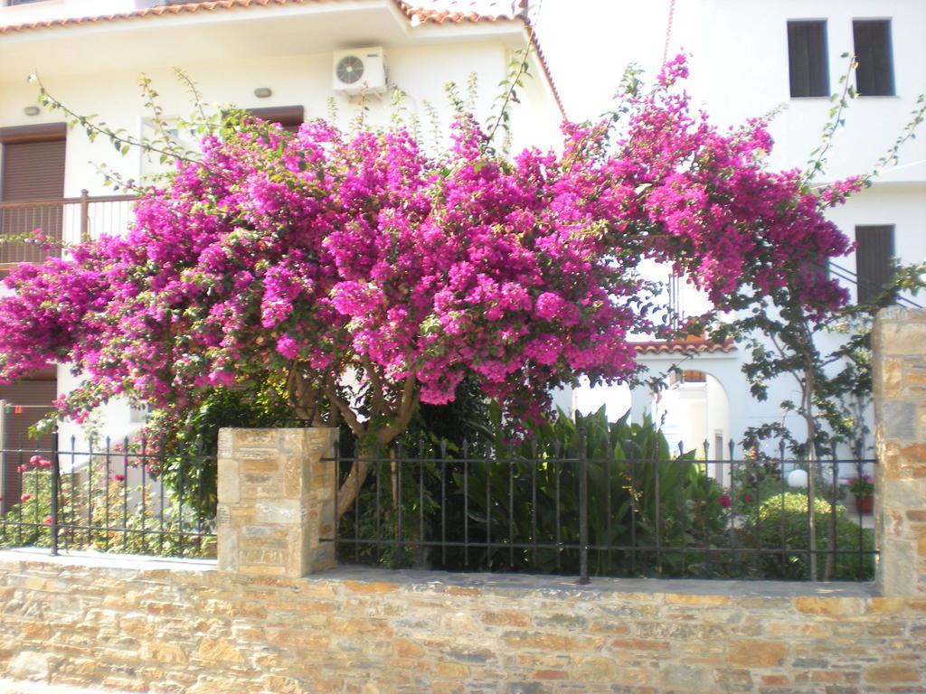 Antonios Skopelos Studios Apartments Exterior photo